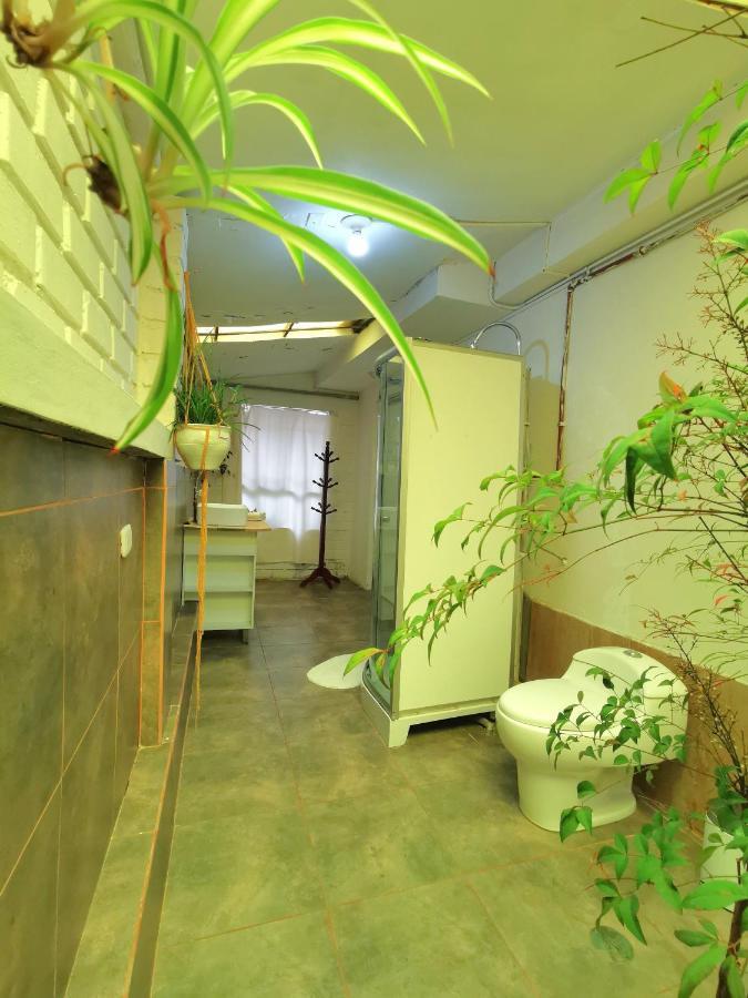 דירות Cusco Kintu House מראה חיצוני תמונה